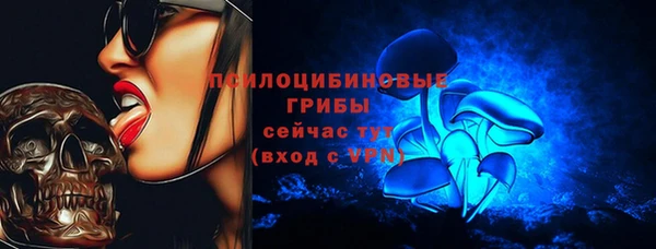 сатива Арсеньев