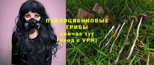сатива Арсеньев