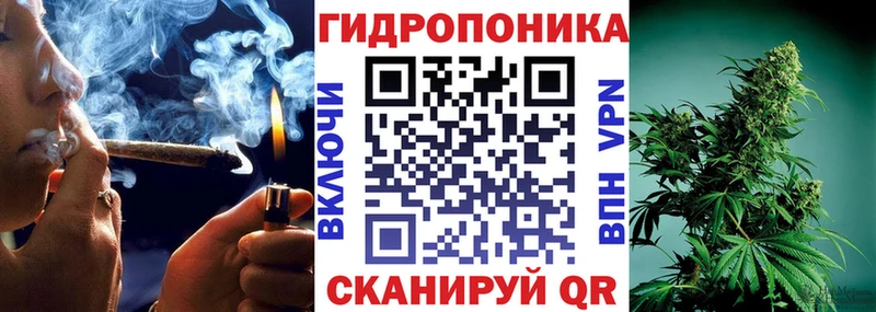 Бошки марихуана White Widow  кракен tor  Калачинск  закладки 